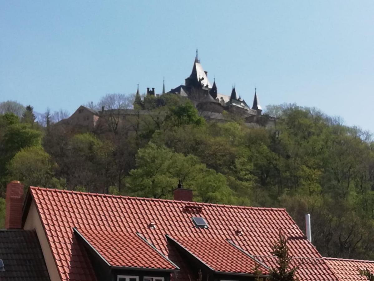 Little Africa Apartment Wernigerode Ngoại thất bức ảnh
